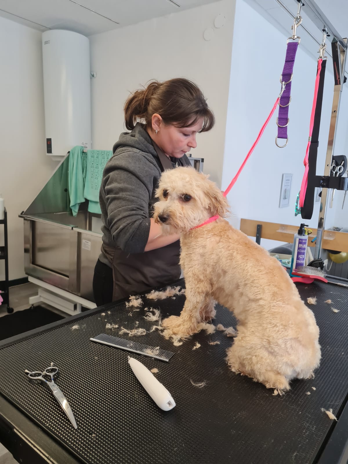 Hundesalon Engstingen